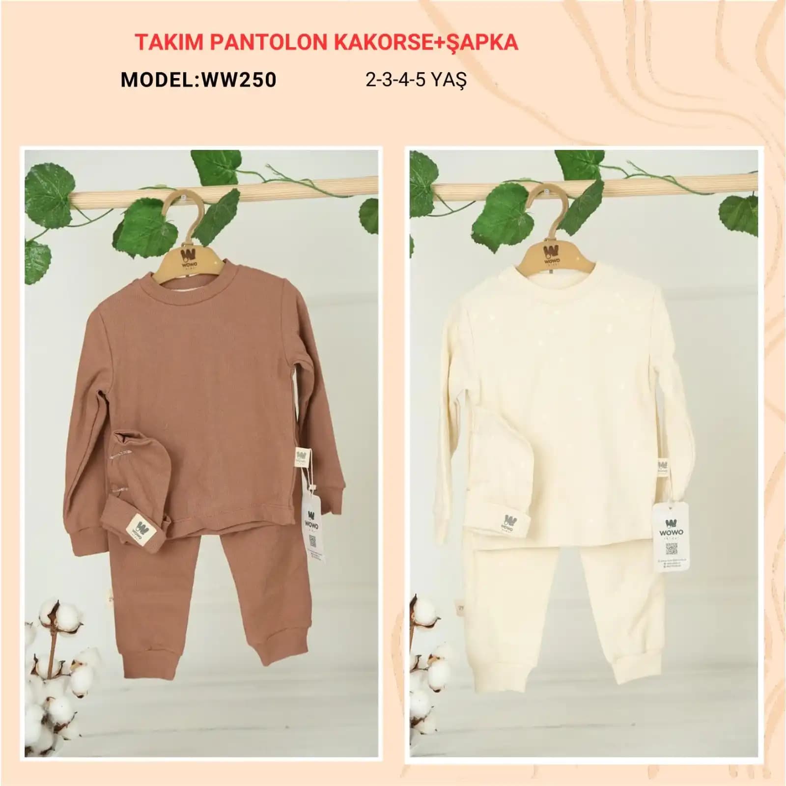  for  WOW-250
