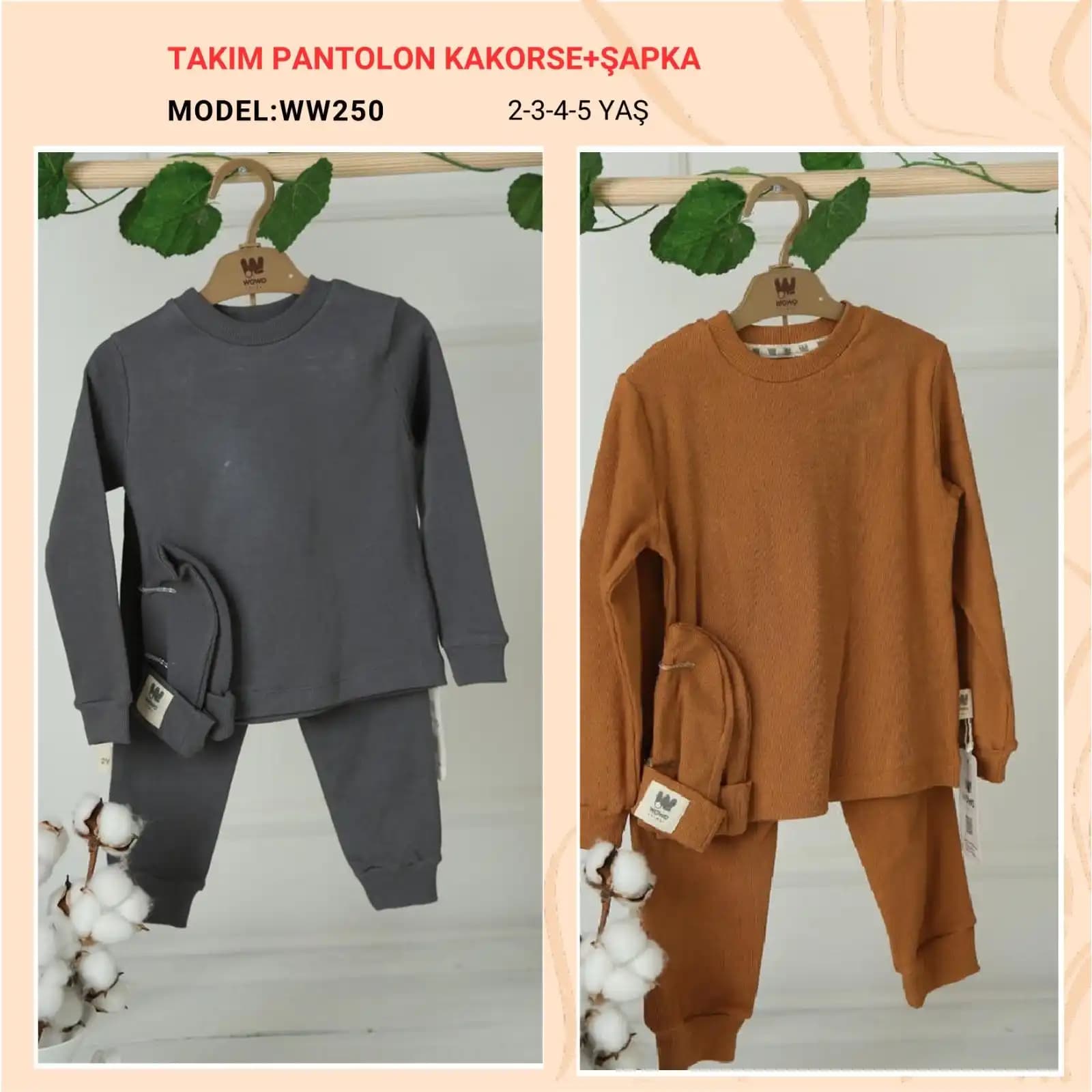  for  WOW-250