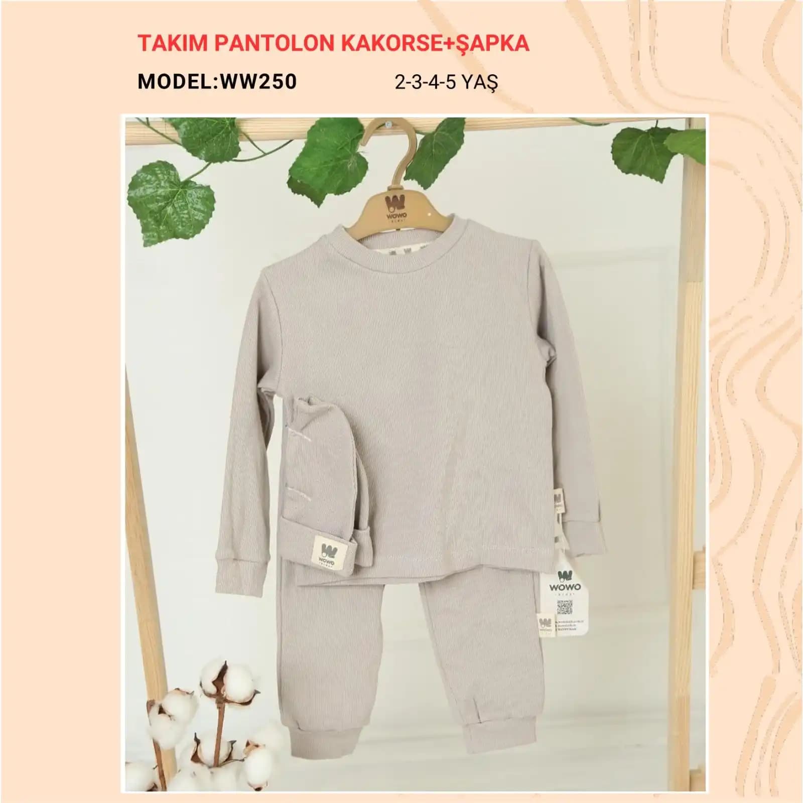  for  WOW-250