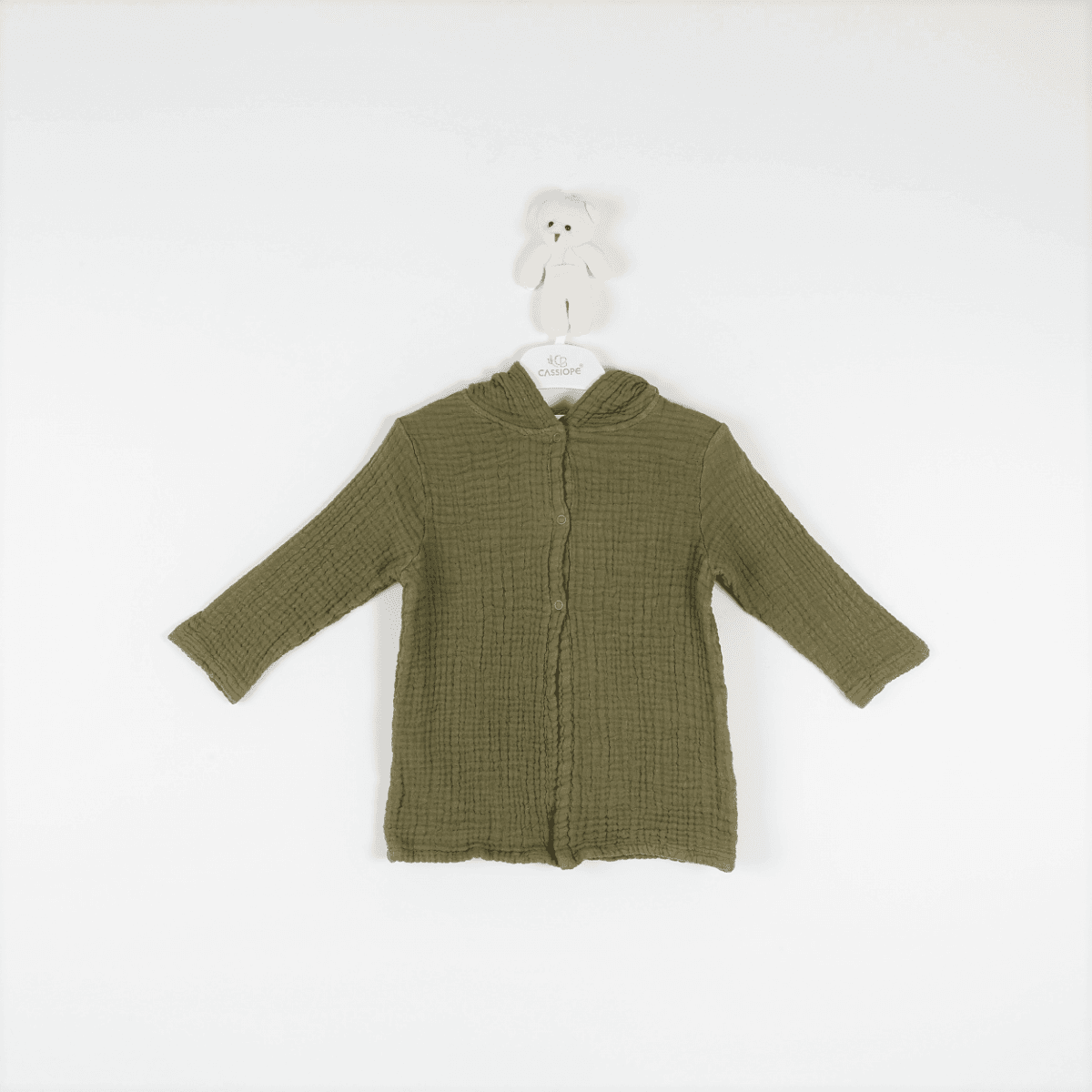  for  IST-425449-CSS