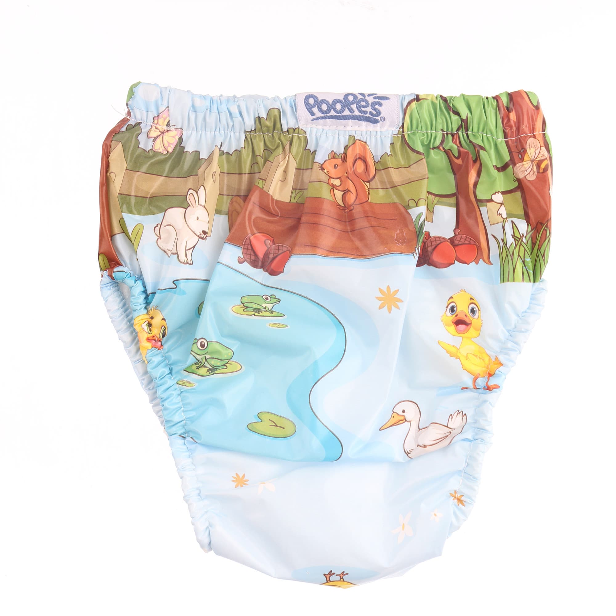  for  PAS-006.POOPES.12015