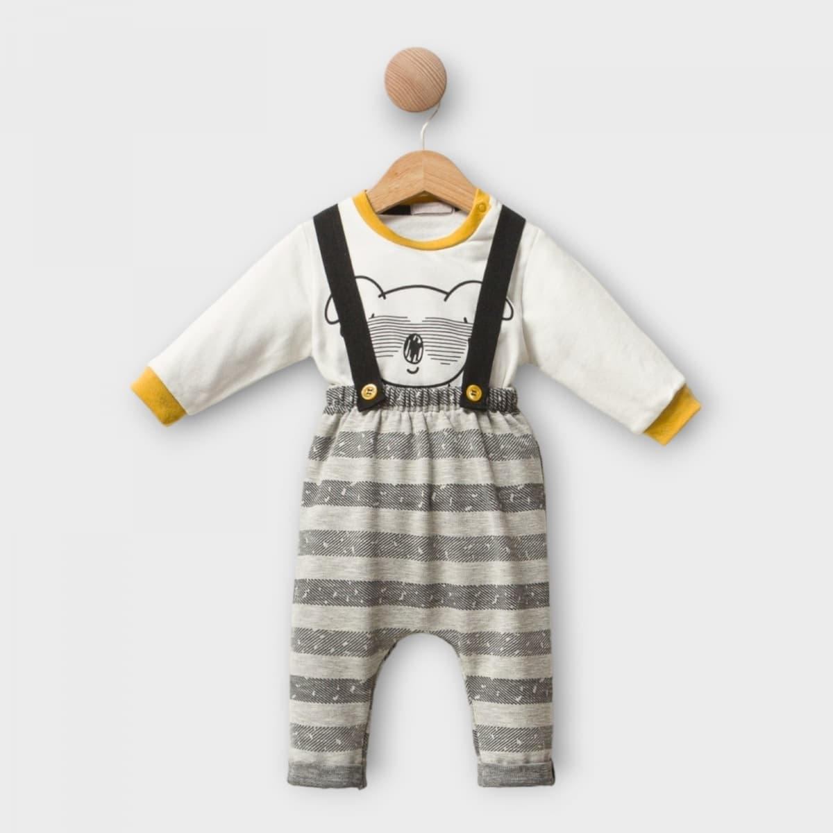  for  IST-473728-CSS-1