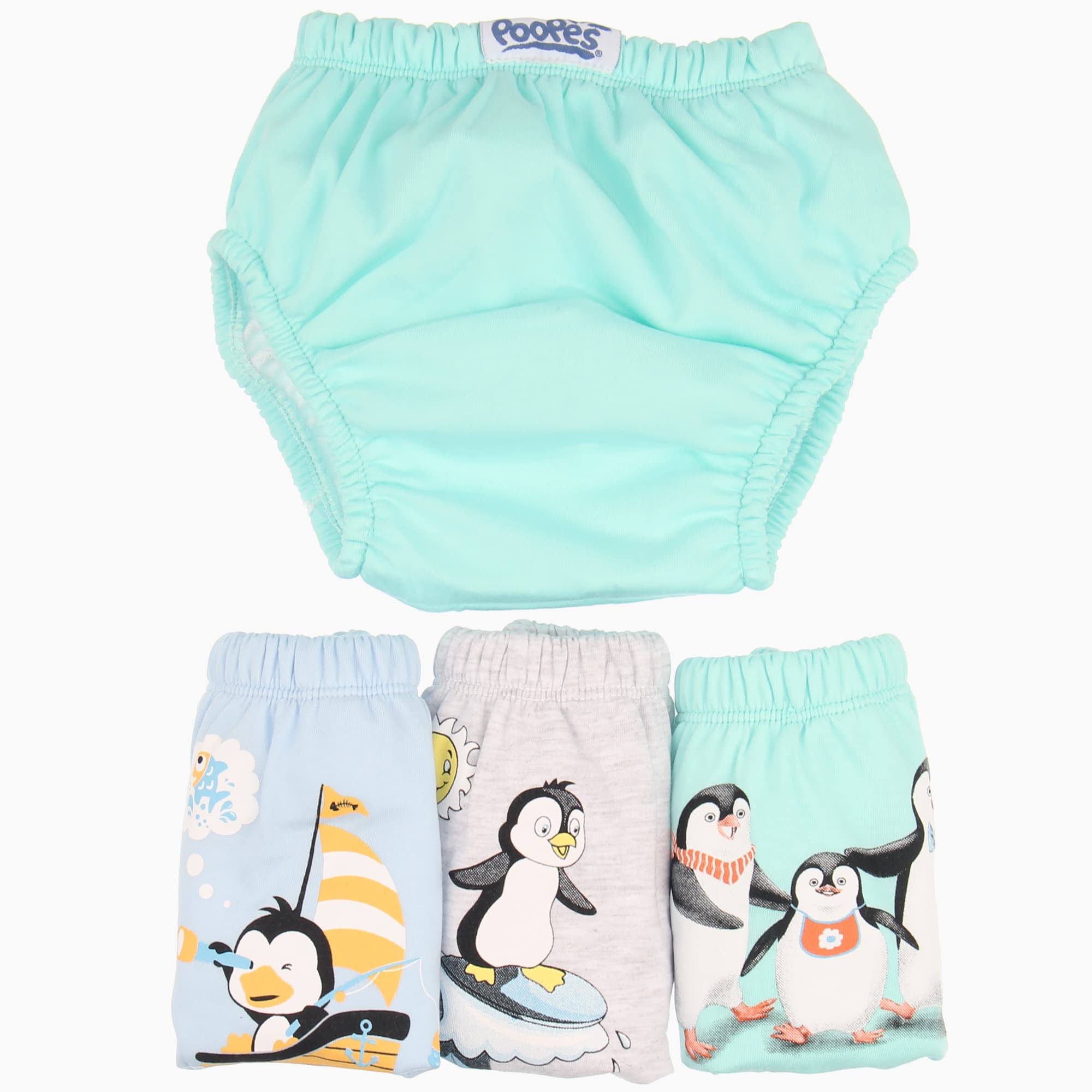  for  PAS-006.POOPES.11069