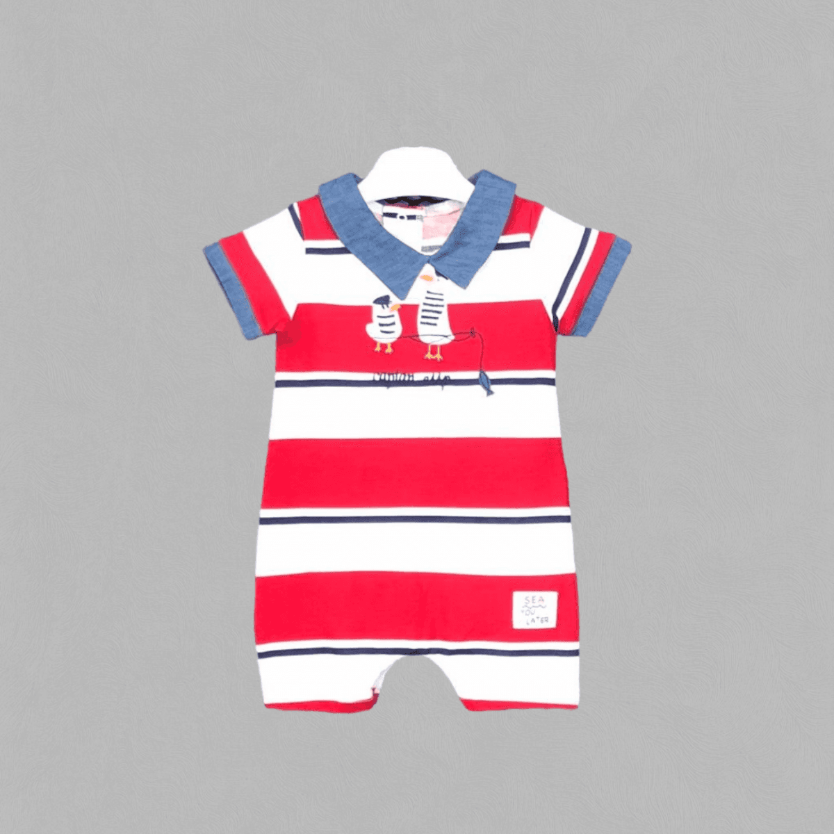  for  IST-481438-CSS-1