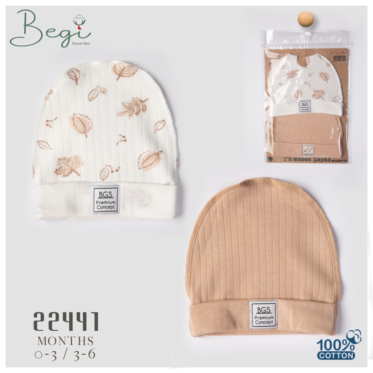  for  CAT-BEGI-22441