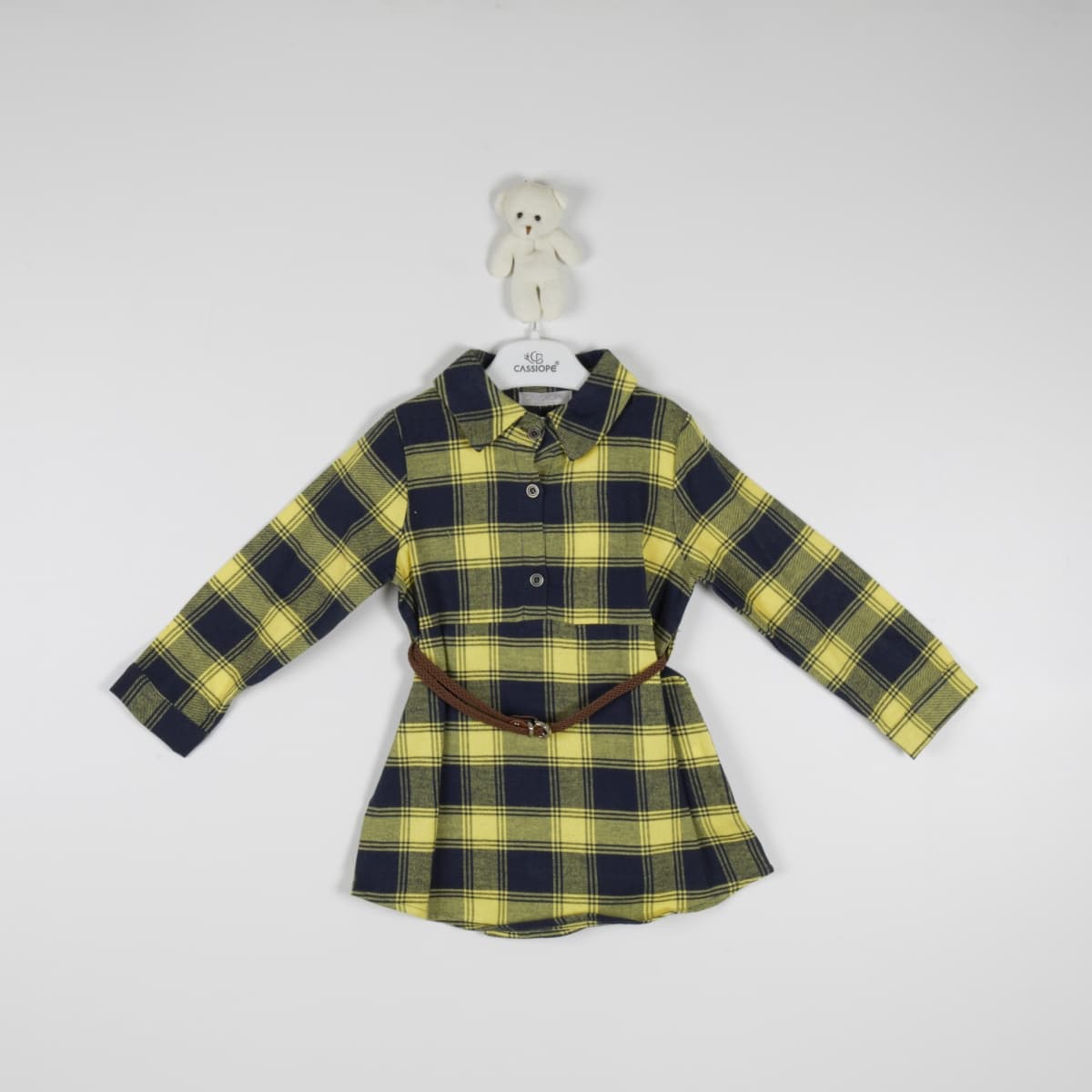  for  IST-465682-CSS-1