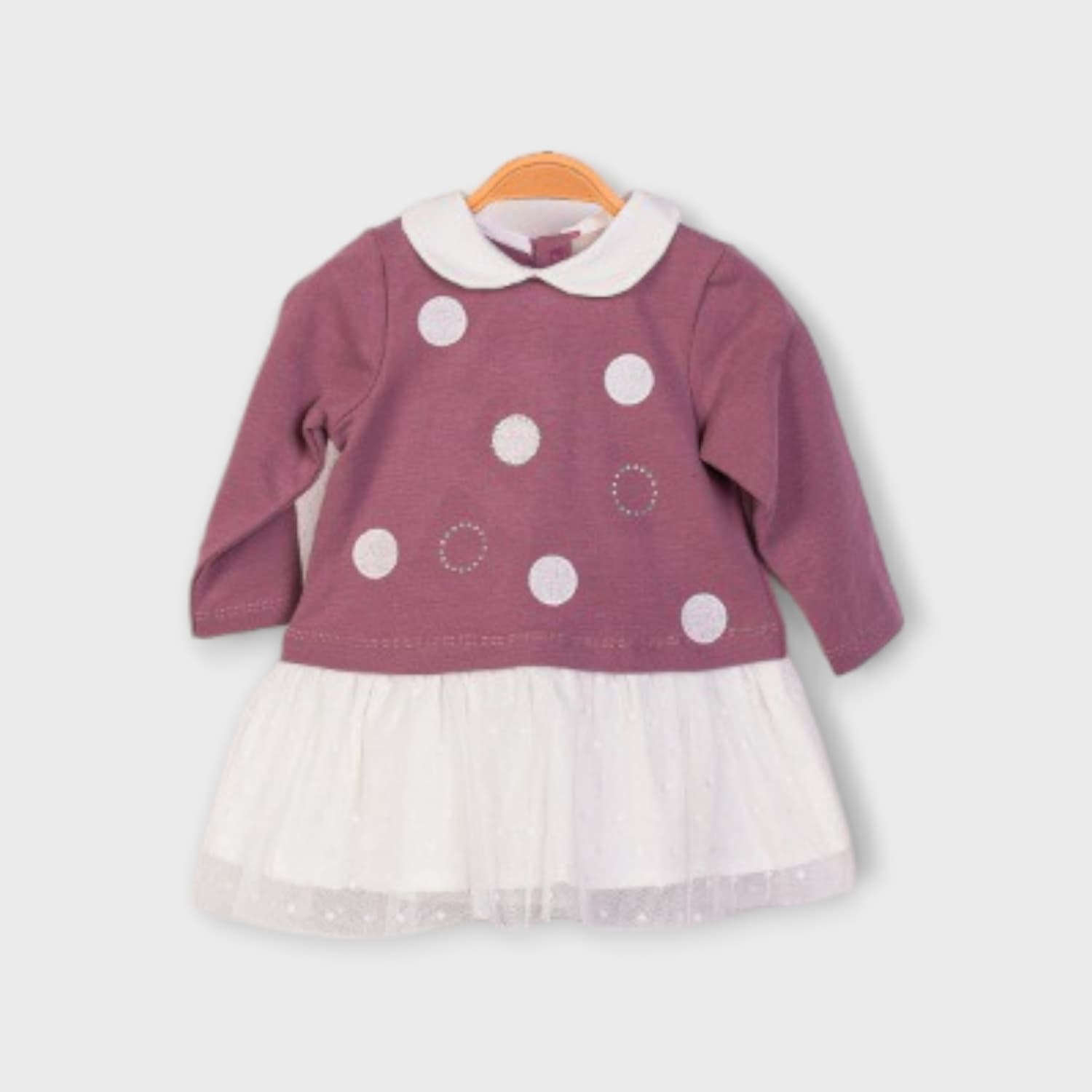  for  IST-465646-CSS-1
