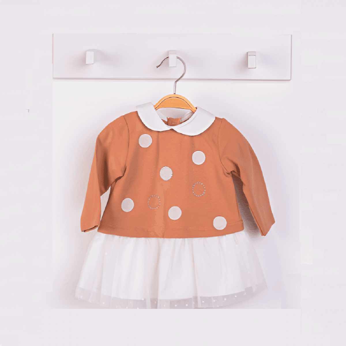  for  IST-465646-CSS-1