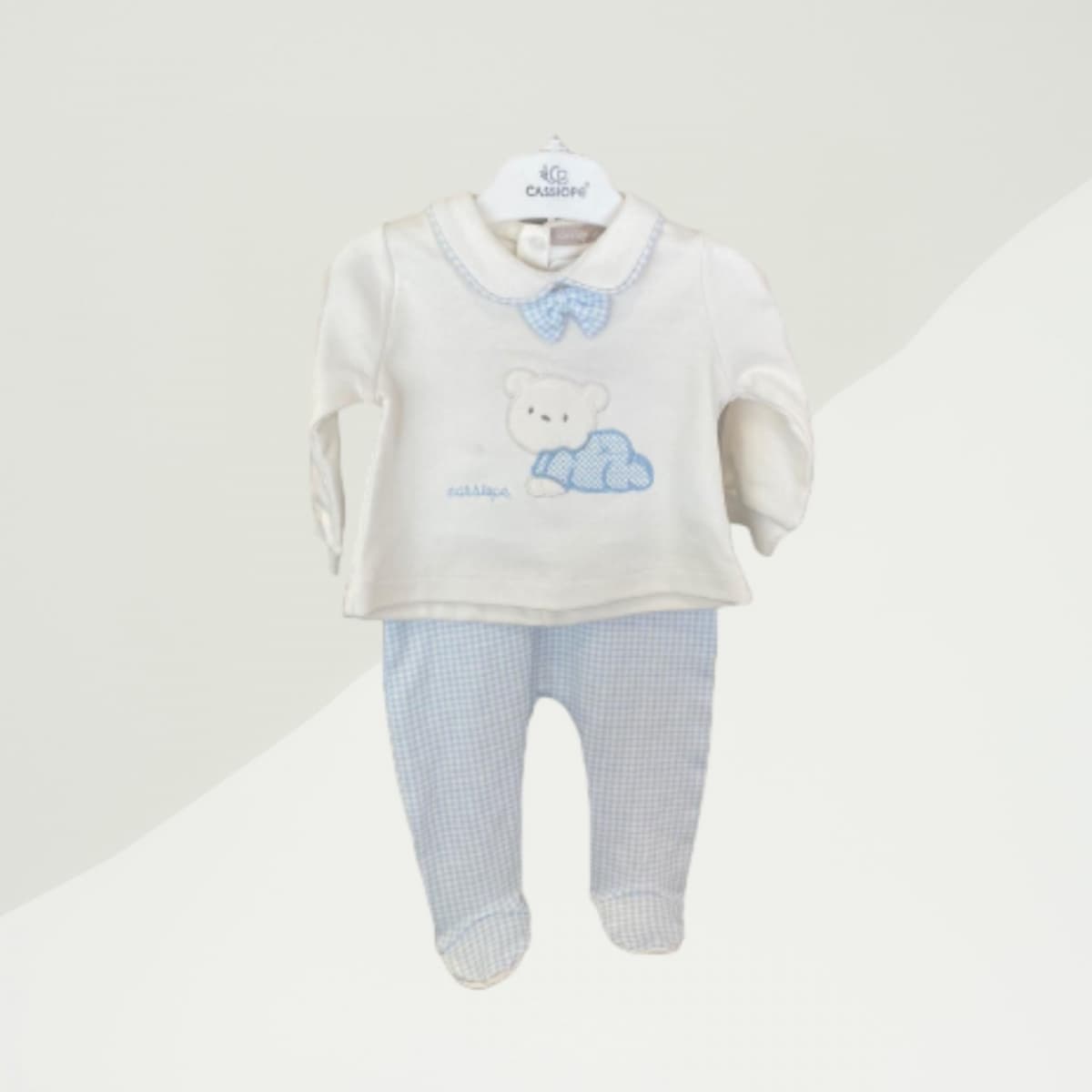  for  IST-473639-CSS